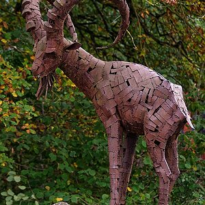 Steinbock