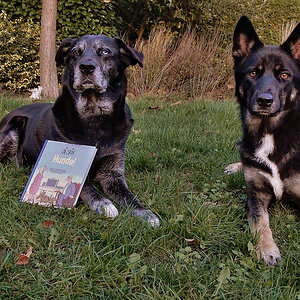 Für den Gewinn von der Uli Stein Stiftung bedanken wir uns "Wuff" herzlich - Kaya + Momo Und natürlich bei Uli für die Widmung