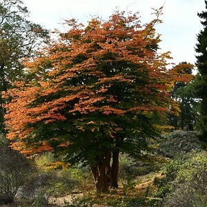 20191022_150410nf.jpg