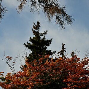 20191022_145221nf.jpg
