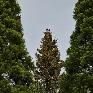 20191022_140816nf.jpg