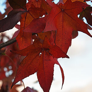 811_4900t20l30fks70p1.jpg