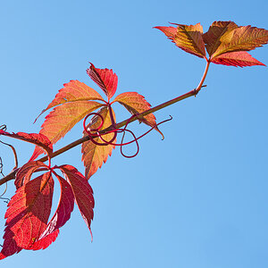 OF2_34158.jpg