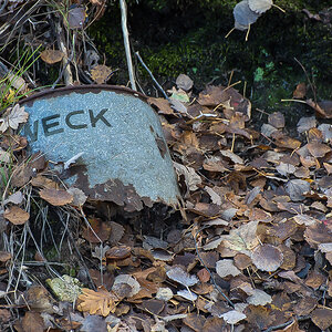 Weck.jpg