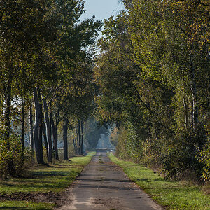 Moorweg.jpg