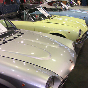 Fiat 124 - Gruppe