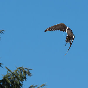 P1015773-Bearbeitet.jpg