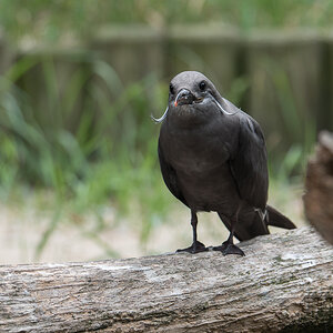 P1064636-Bearbeitet.jpg
