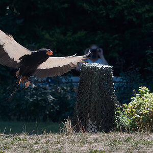 P1004593-Bearbeitet.jpg