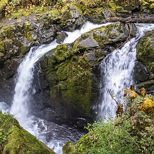 Sol Duc Falls.jpg