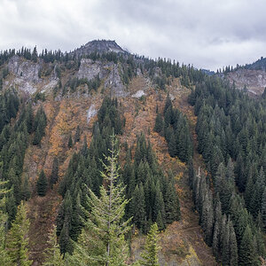 Mount Rainier NP.jpg
