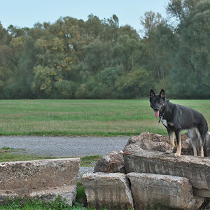 DSC_3515.jpg