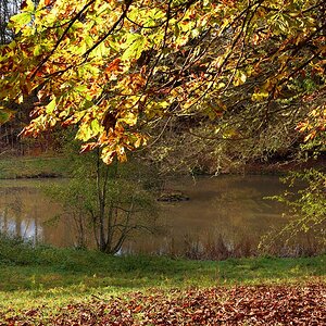 Ochsenweiher- (2).jpg