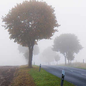 Herbststrasse.jpg