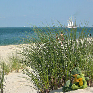 Sylt Sand