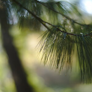 DSC_5828.jpg