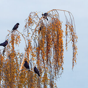 OF2_34446.jpg