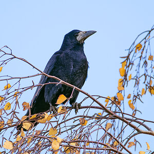 OF2_34393.jpg