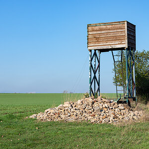 OF2_34468.jpg