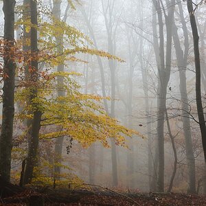 2019_24429.jpg