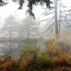 2019_24456.jpg-1.jpg