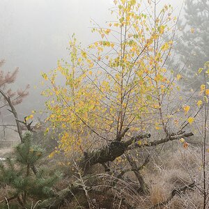 2019_24477.jpg