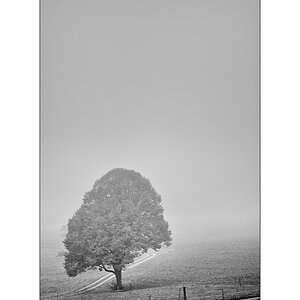 MorgenDSC_2891.jpg