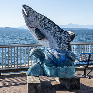 Fisch Seattle.jpg