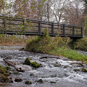 DSC_3802_DxO2.jpg
