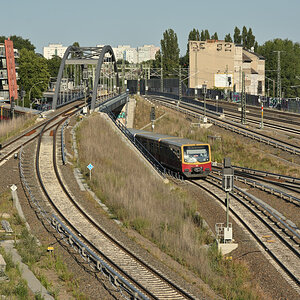 DSC_2126.JPG