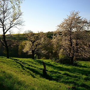 Frühling im Gebergrund bei Dresden