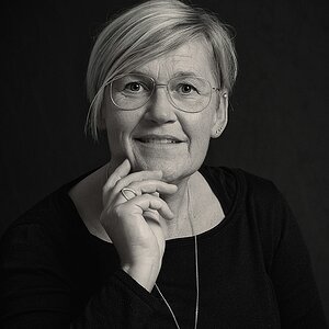 Meike III