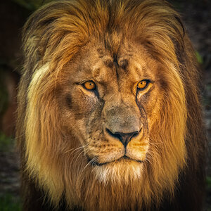 _DSC0545-Bearbeitet-Bearbeitet-2.jpg