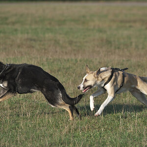 DSC_5247.jpg