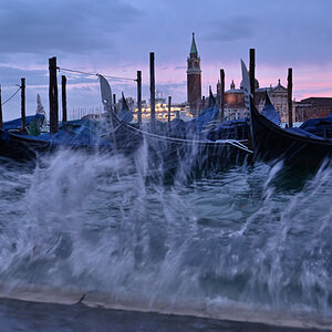 Venedig_NFF_PZ6_6359.jpg