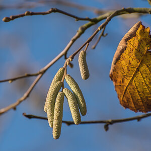 Frühling und Herbst.jpg