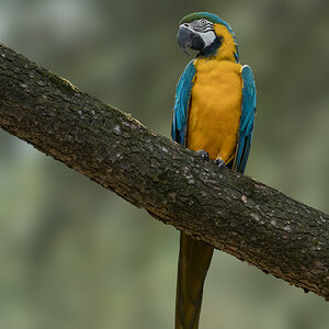 P1054277-3.jpg