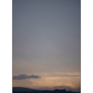 MorgenDSC_2967.jpg