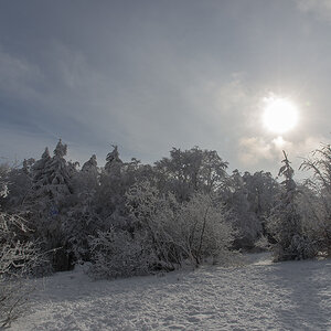 rk_20190204_803967-n.jpg