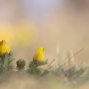 rk_20190330_505547.jpg