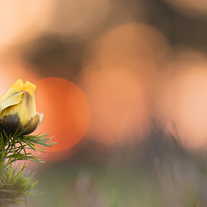 rk_20190331_505668.jpg