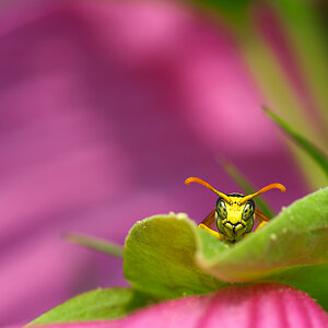 I see you.jpg
