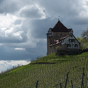 P1037205.jpg