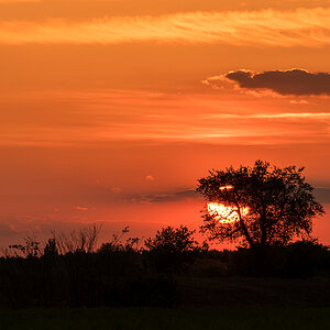 d_DSC_2171.jpg