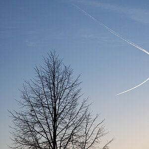 OF2_35190.jpg