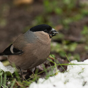UliGraphie_DSC_9395.jpg