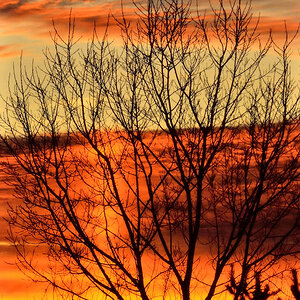 DIA_3122.jpg