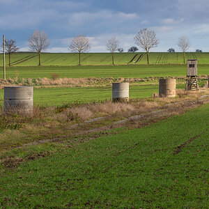 OF2_35067.jpg