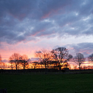 Z50_0058_DxO.jpg