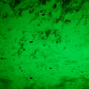 Z50_0181_DxO.jpg